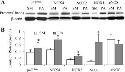 Fig. 4.