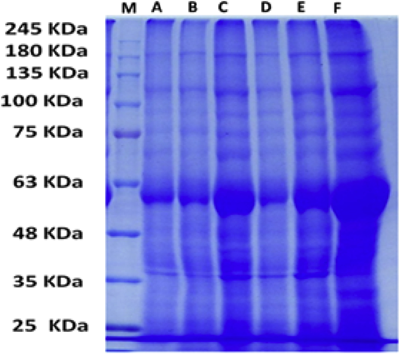 Fig. 7