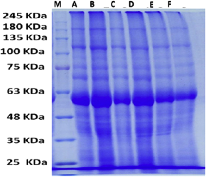 Fig. 8