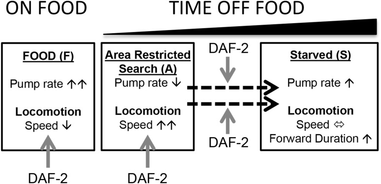 Fig. 5