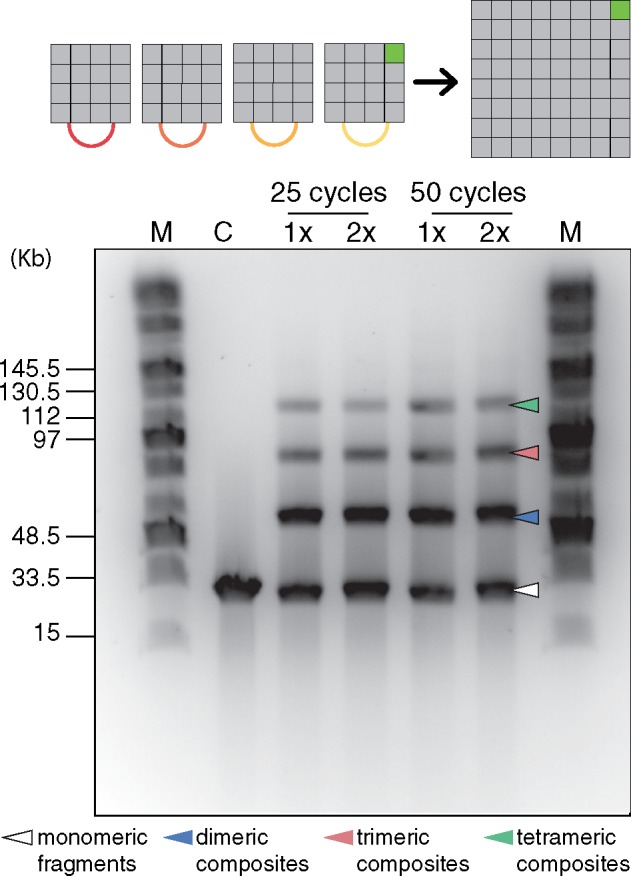 Figure 3.