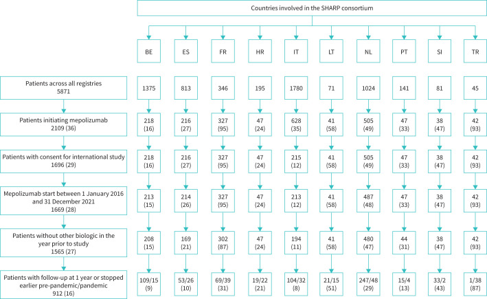 FIGURE 1