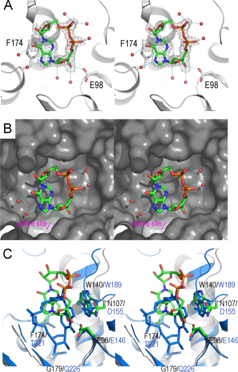 FIGURE 4.