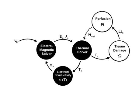 Fig. (3)