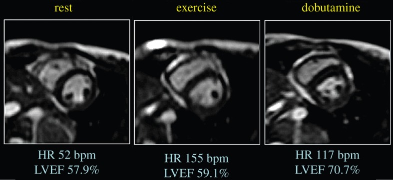 Figure 5.