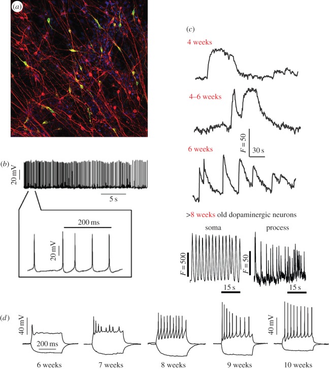 Figure 3.