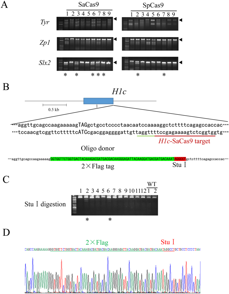 Figure 4