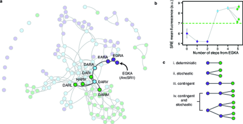 Extended Data Figure 7 |