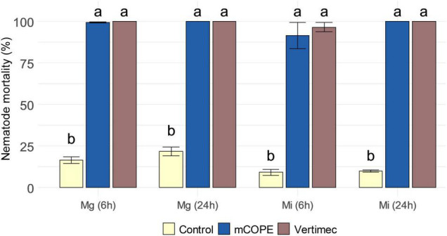 FIGURE 3