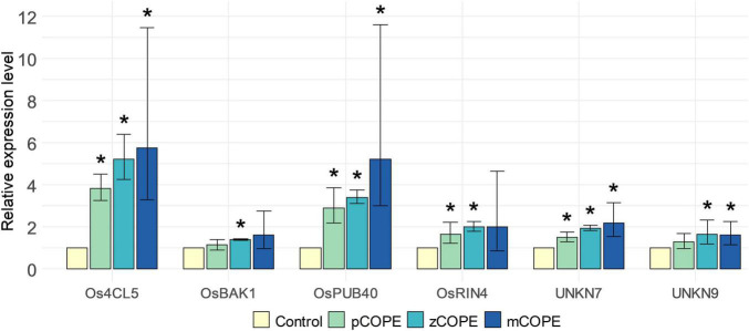 FIGURE 1