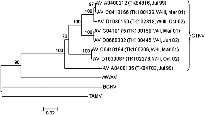 FIG. 2.