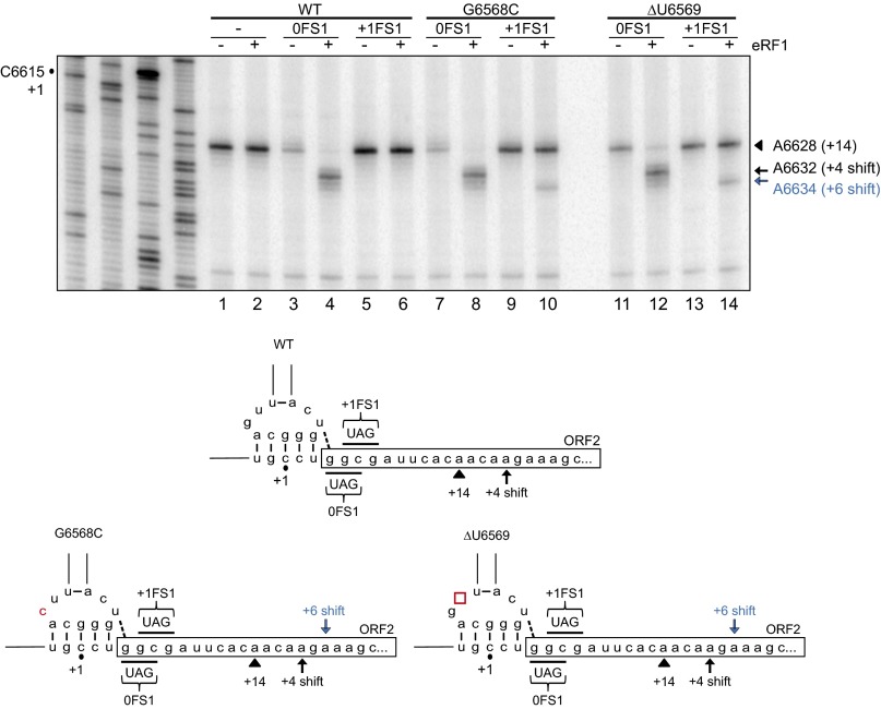 Fig. S4.