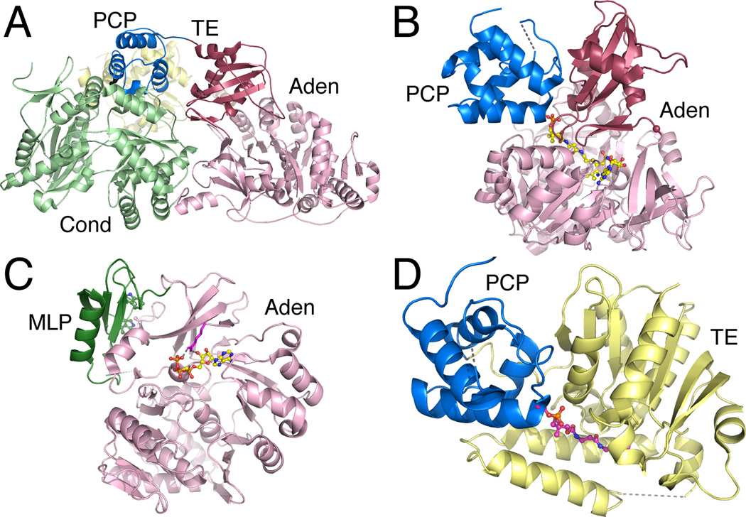 Figure 7