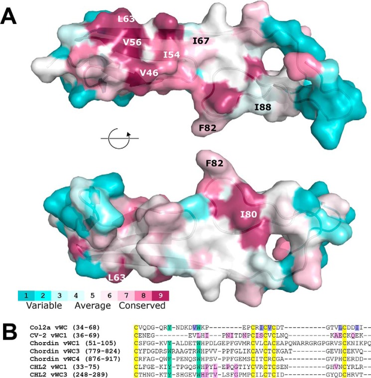 Figure 5.