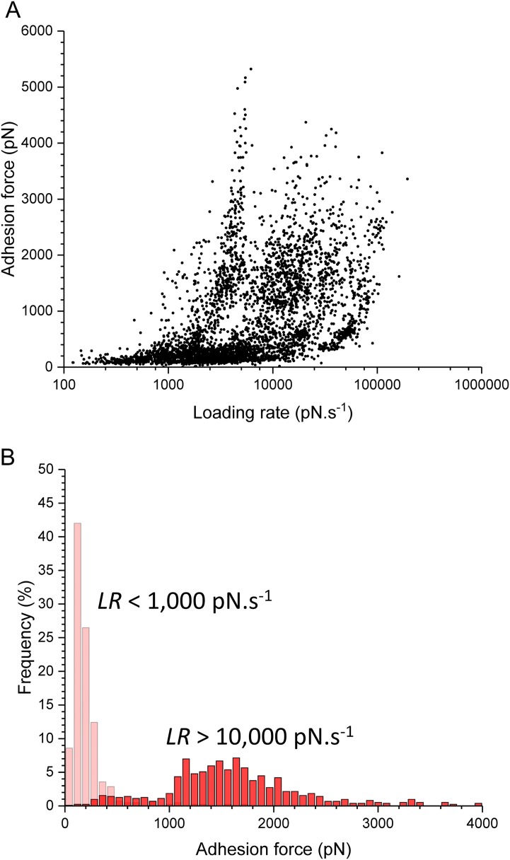 FIG 6 