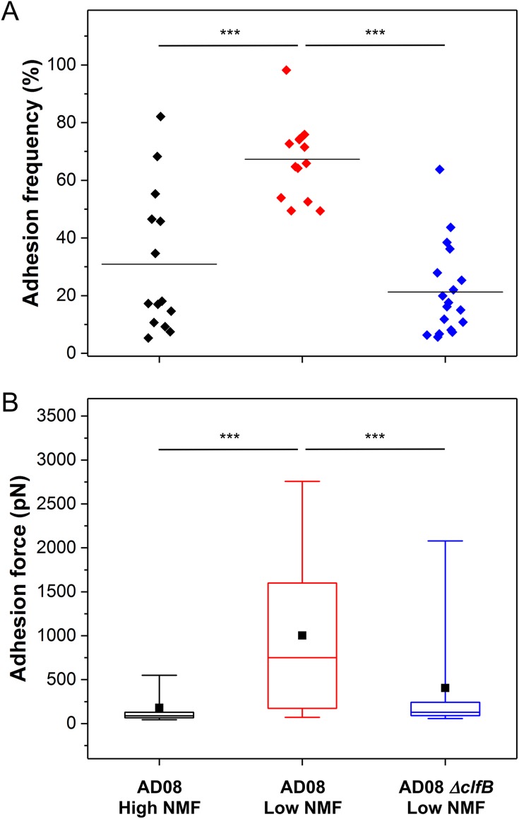 FIG 5 