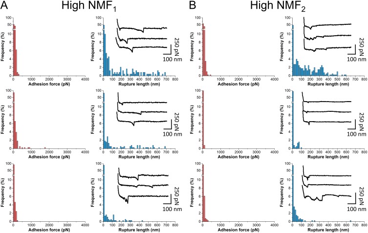 FIG 3 