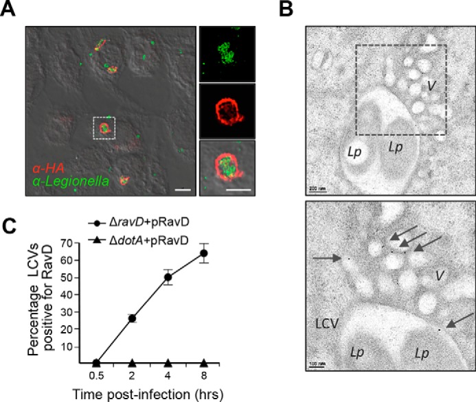 Figure 3.