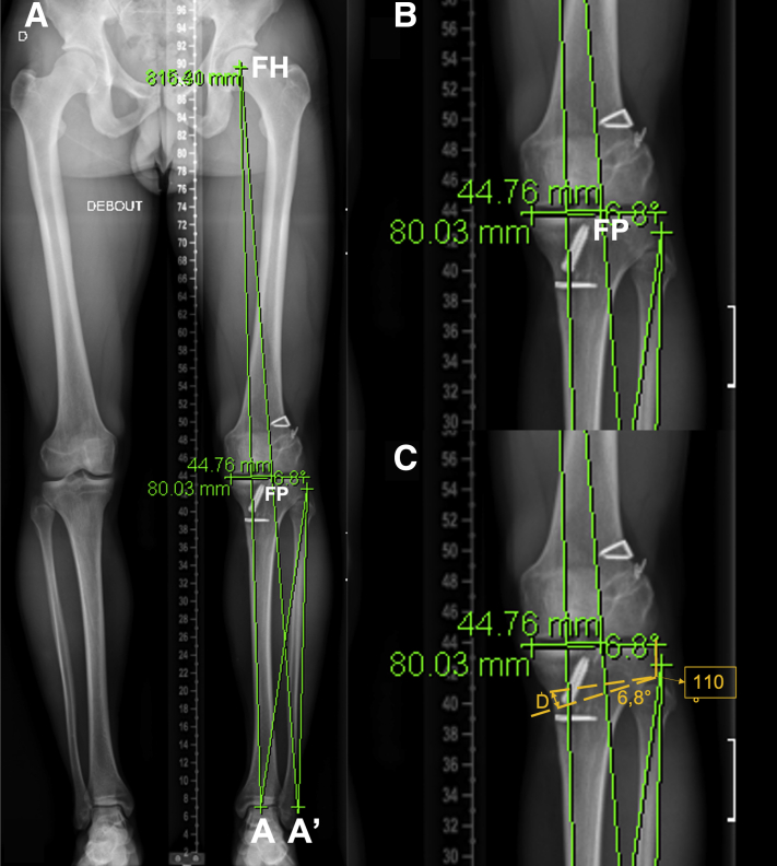 Fig 2