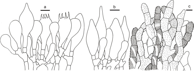 Fig. 13