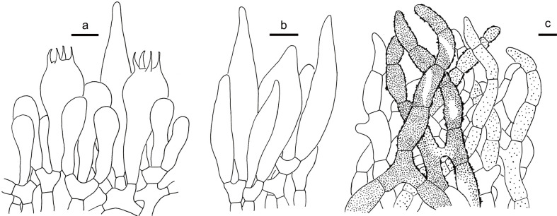 Fig. 9