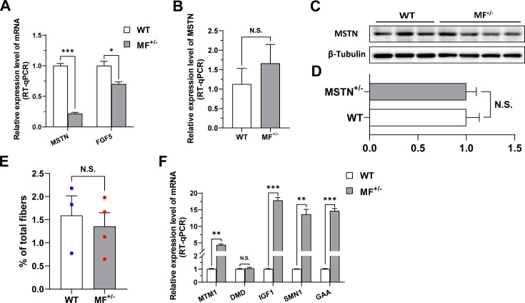 Figure 2—figure supplement 2.