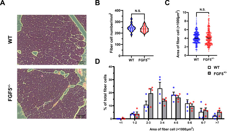 Figure 2—figure supplement 1.