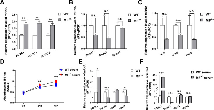 Figure 4—figure supplement 1.