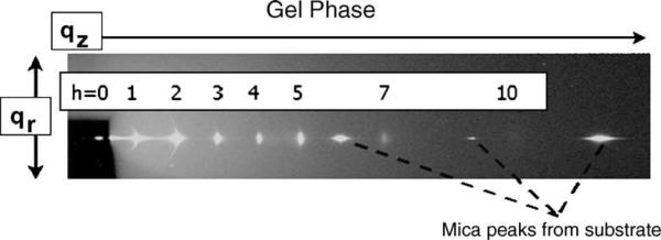 Fig. 11