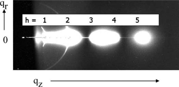 Fig. 12