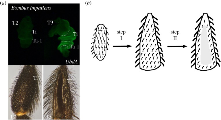 Figure 2.