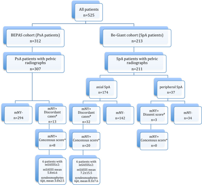 Extent Of Axial Damage In Psoriatic Arthritis And Spondyloarthritis 