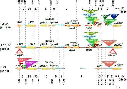 Fig. 2.