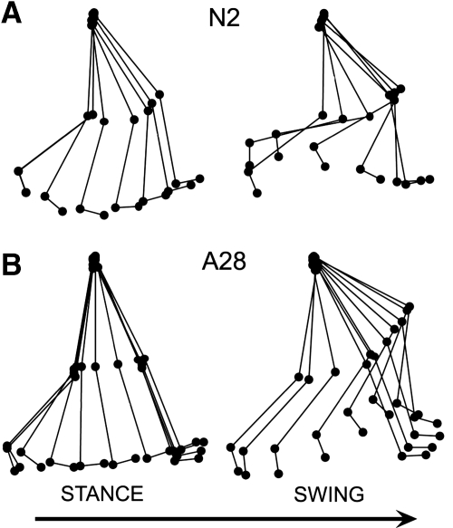 Fig. 2.