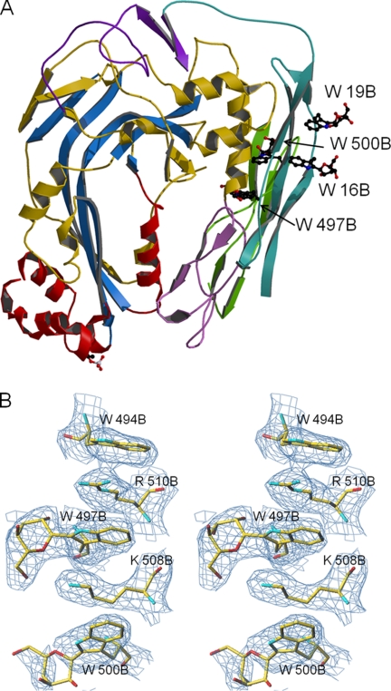 FIGURE 4.