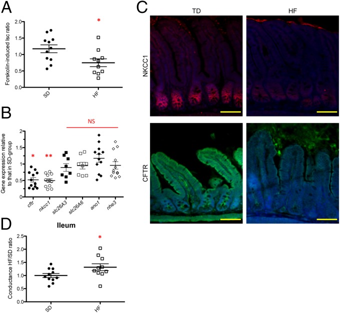 Fig. 3.