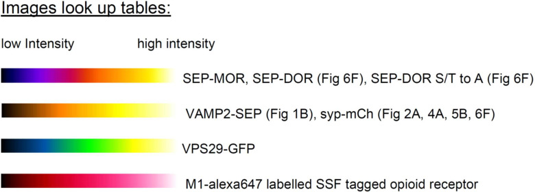 Appendix 1—figure 1.