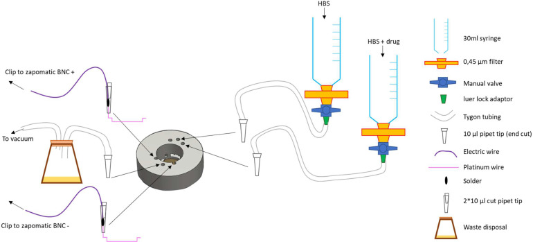 Appendix 1—figure 4.