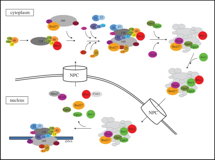 Figure 1.