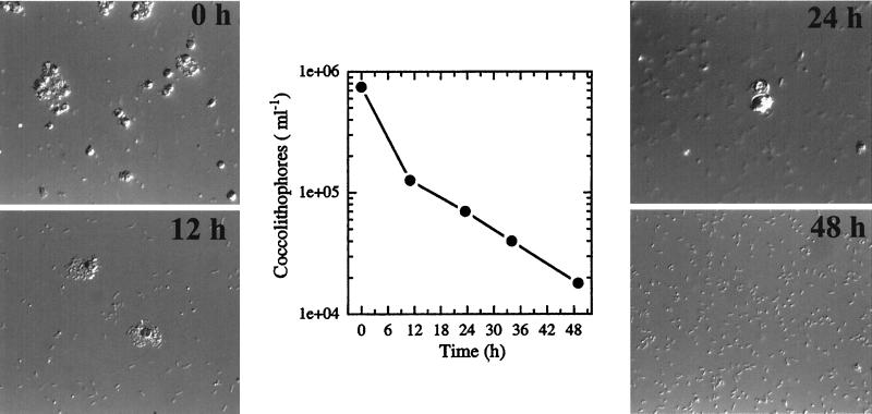 FIG. 5