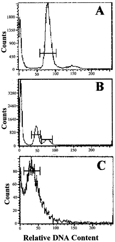 FIG. 6