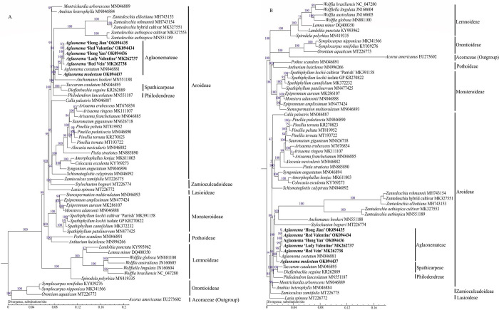 Fig 10