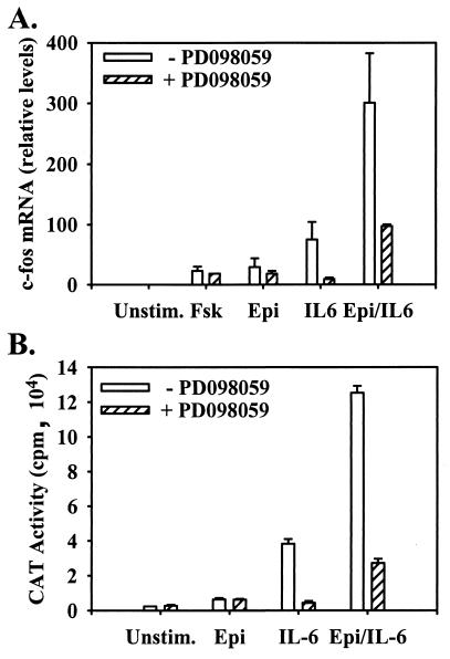 FIG. 7