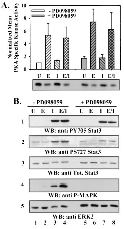 FIG. 6