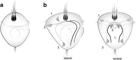 Fig. 9