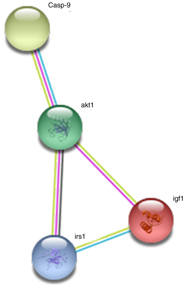 Figure 7.