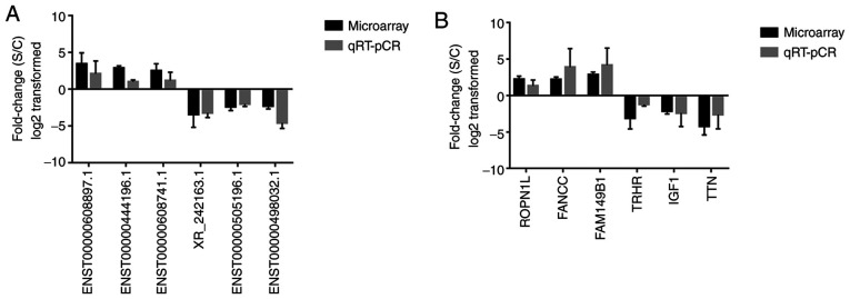 Figure 6.