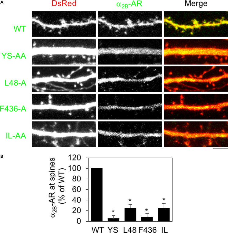 Figure 2