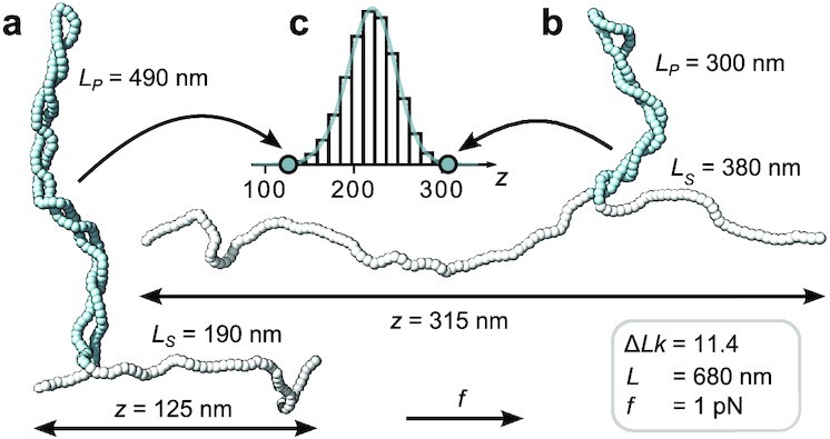 Fig. 2.