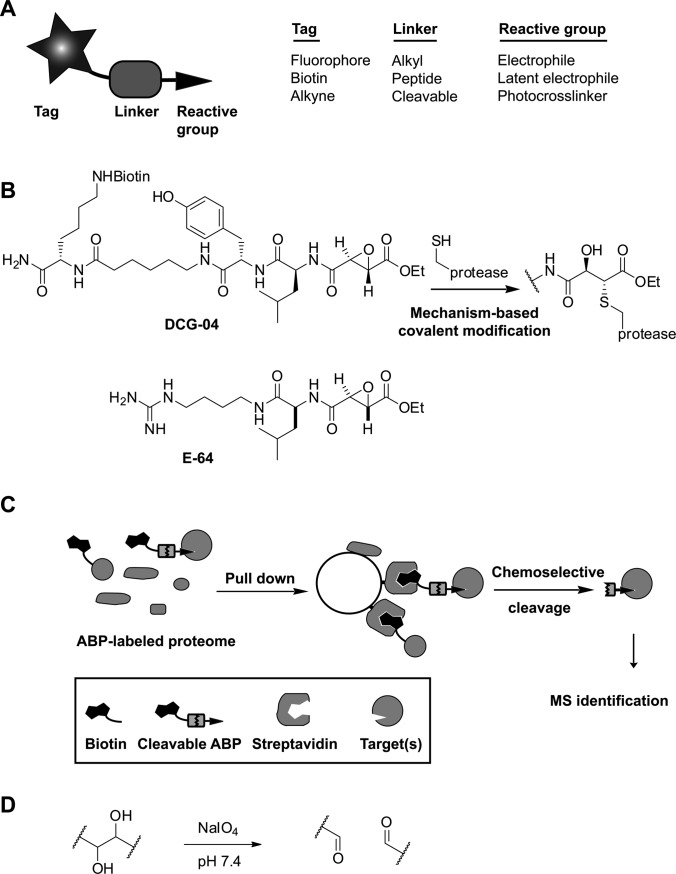 Fig. 1.